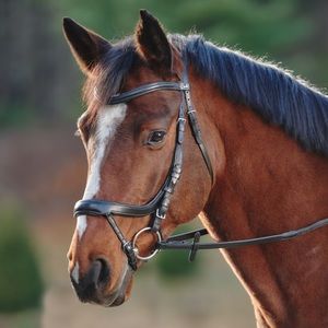 Schockemoehle Equitus Alpha Anatomic Bridle -Size Full